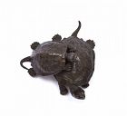 Meiji Japanese Bronze Turtle Tortoise Okimono Sg