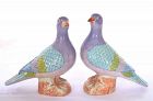 19C Chinese 2 Export Famille Rose Porcelain Dove Pigeon Bird